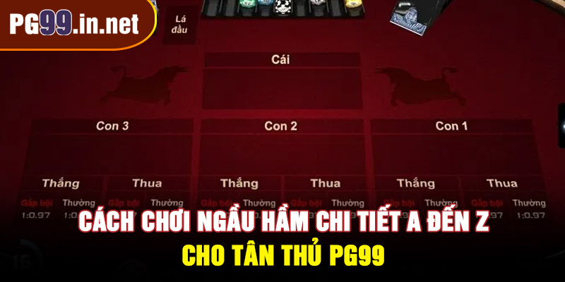 Cách chơi ngầu hầm chi tiết A đến Z